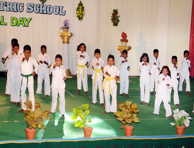 Annual Day 2015